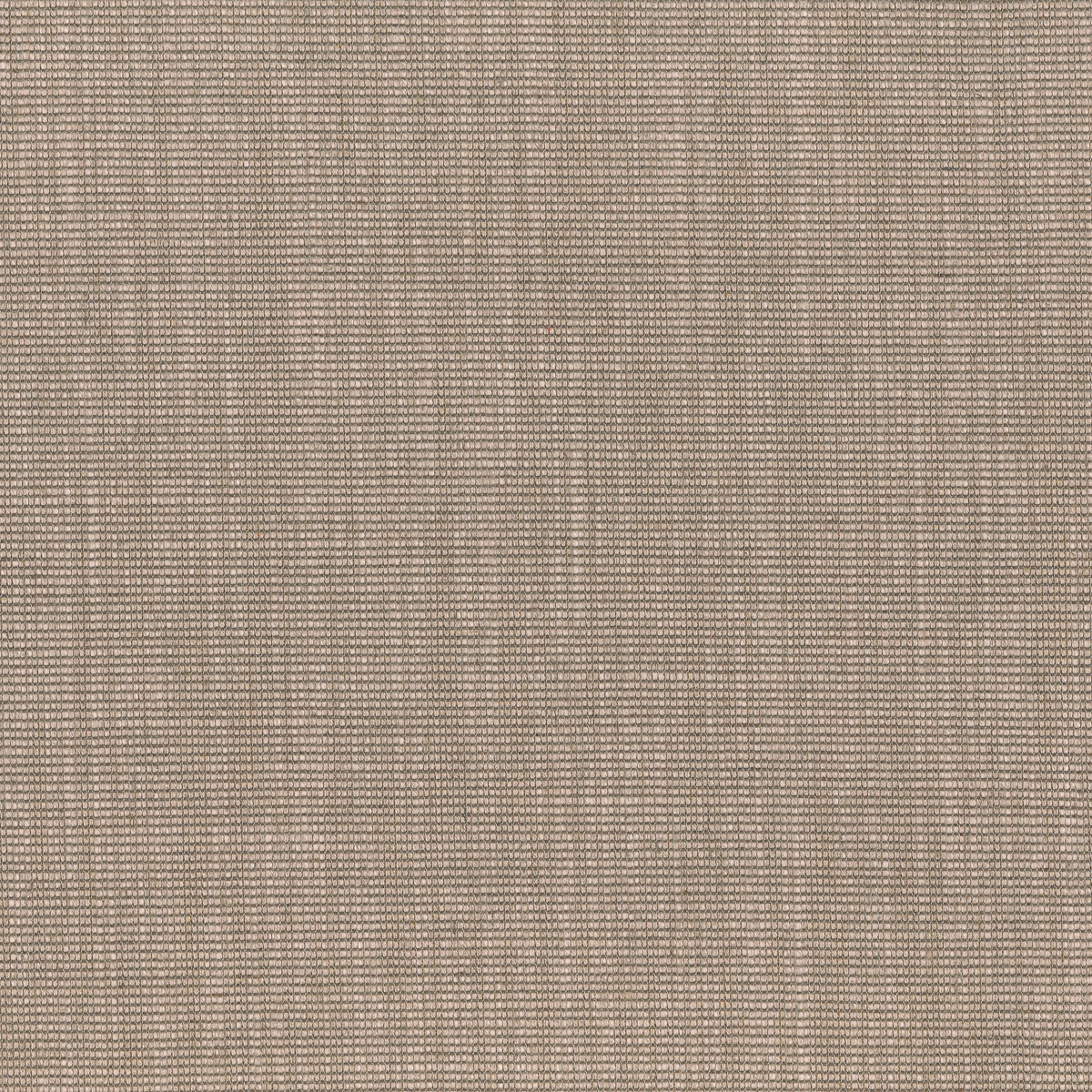 TATAMI 02
